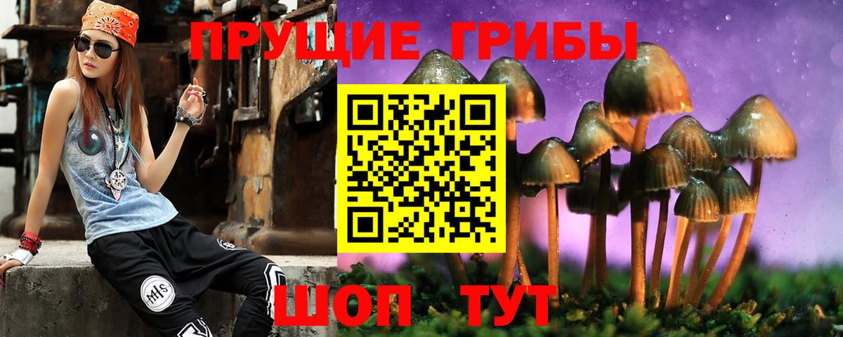 Псилоцибиновые грибы мицелий Джанкой