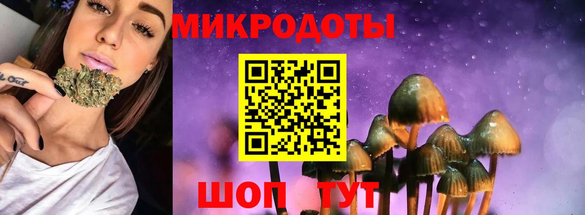 Псилоцибиновые грибы прущие грибы  Вход с VPN  Джанкой  Псилоцибиновые грибы Psilocybe 